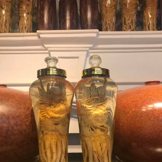 đinh lăng điêu khắc