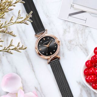 Đồng Hồ Nữ Thời Trang Cao Cấp PAGINI - PA2266 Dây Titanium