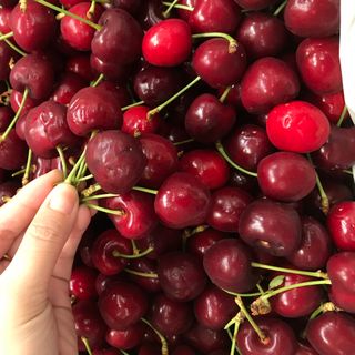 CHERRY ÚC - BAO NGON, GIÒN, NGỌT