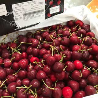 CHERRY ÚC - BAO NGON, GIÒN, NGỌT