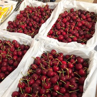 CHERRY ÚC - BAO NGON, GIÒN, NGỌT