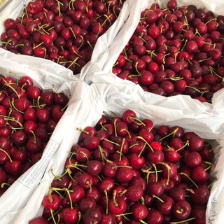 CHERRY ÚC - BAO NGON, GIÒN, NGỌT