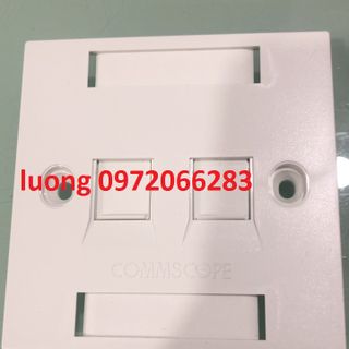 Mặt 2 Port Wallplate AMP Face Plate 1859050-1 mặt nạ vuông