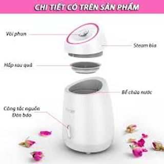 Máy xông mặt hoa quả tươi maoer (khách đặt tối đa 4 sp/đơn để ko vượt quá khối lượng)