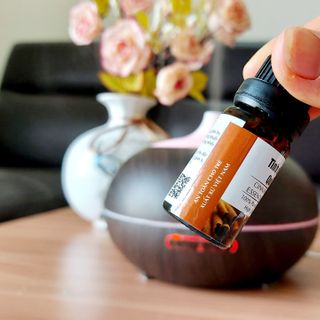 Tinh dầu Quế nguyên chất tại hà nội 100% thơm phòng, đuổi muỗi, khử mùi xe oto, khử mùi hôi nhà cửa giá rẻ của Eslife cung cấp