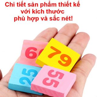 BỘ TOÁN HỌC DOMINO 300 CHI TIẾT BẰNG GỖ