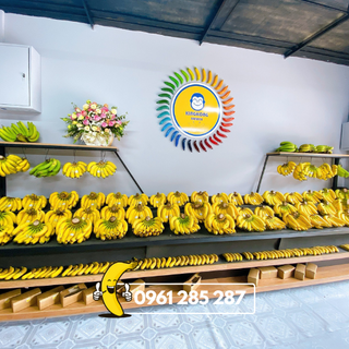 Kẹo chuối dừa King Kong Banana [HỘP 50 VIÊN] thơm ngon tự nhiên, 100% từ chuối tươi VietGap với dừa tươi sấy khô