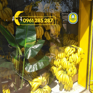 Kẹo chuối dừa King Kong Banana [HỘP 50 VIÊN] thơm ngon tự nhiên, 100% từ chuối tươi VietGap với dừa tươi sấy khô