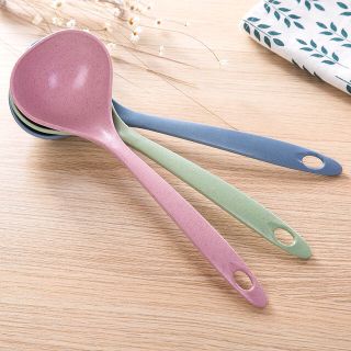 Vá Nhựa Múc Canh Nhiều Màu