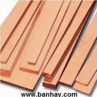 Đồng thanh cái 20x6x1000mm
