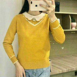 Áo len đông màu cổ bẻ