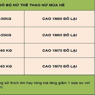 Bộ đồ thể thao thêu chữ A TT305