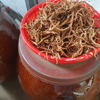 Sâm dây khô