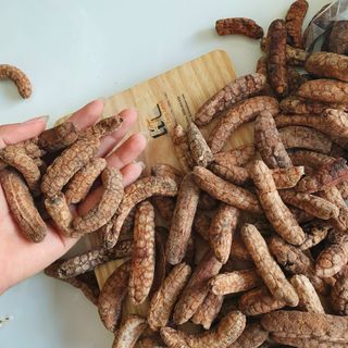Chuối hột rừng