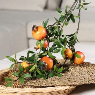 Cành lựu trưng tết