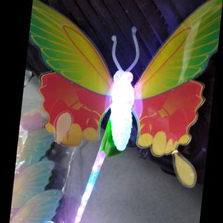 Cây bướm có đèn giá sỉ