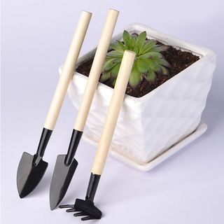 Bộ dụng cụ làm vườn mini