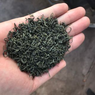 Chè búp Thái Nguyên