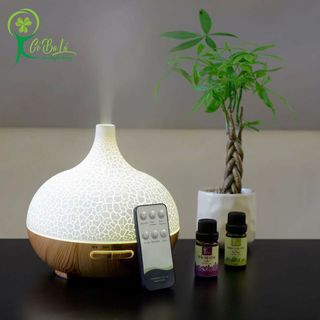 Máy khuếch tán tinh dầu cổ cao 550ml
