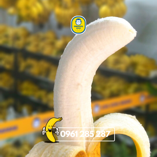 Bánh Biscotti Chuối King Kong Banana [Túi 150g] thơm ngon tự nhiên, 100% từ chuối tươi VietGap