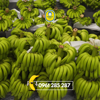Chuối sấy dẻo King Kong Banana [TÚI 950G] thơm ngon tự nhiên, 100% từ chuối tươi VietGap