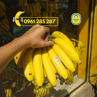 Chuối sấy dẻo King Kong Banana [TÚI 950G] thơm ngon tự nhiên, 100% từ chuối tươi VietGap