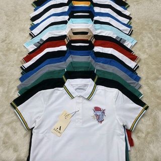 Áo thun nam cao cấp