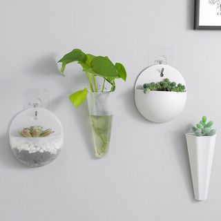 Chậu cây treo tường trang trí bằng nhựa (mẫu dài)