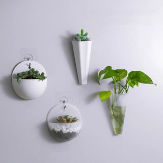 Chậu cây treo tường trang trí bằng nhựa (mẫu dài)