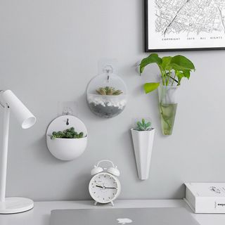 Chậu cây treo tường trang trí bằng nhựa (mẫu dài)