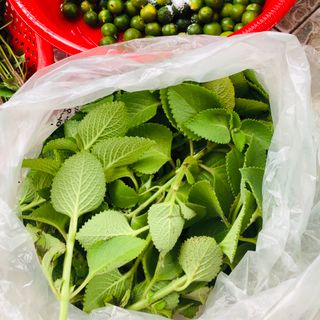 Siro húng chanh trị ho cho bé - 100% thiên nhiên