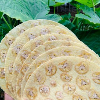 Bánh Phồng Ép Chuối Sơn Đốc