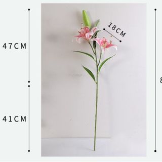 Hoa Ly vải giá sỉ