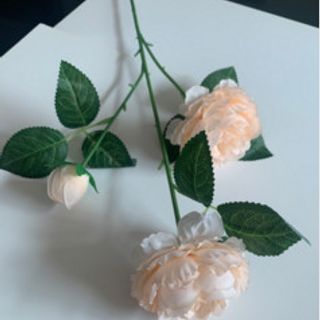 Hoa hồng vải lụa mềm