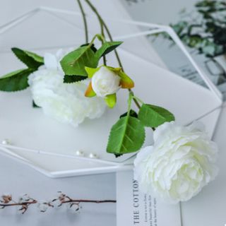 Hoa hồng vải lụa mềm