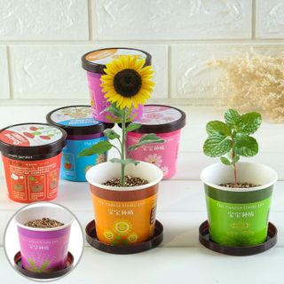 Chậu cây mini trang trí Little Pot