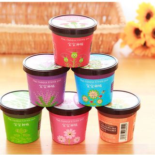 Chậu cây mini trang trí Little Pot