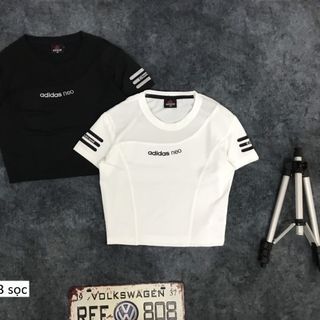 CROPTOP 3 SỌC TAY