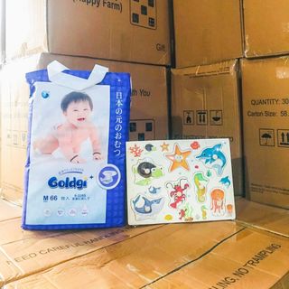 BỈM GOLDGI+ 2020 mới