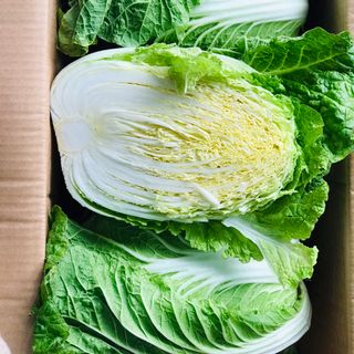 SỈ LẺ CẢI THẢO HÀN QUỐC GIÁ TỐT