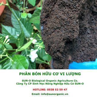 Phân Bón Hữu Cơ Vi Lượng Green Bio giàu trung vi lượng tự nhiên
