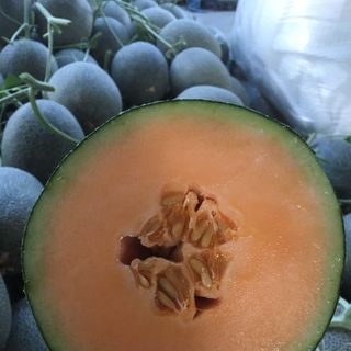 Hạt giống dưa lưới T-one ( gói 500 hạt)