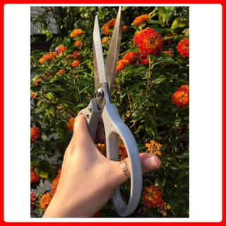 Kéo nhà bếp đa năng cán bạc Kapusi K-0860