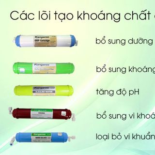 Máy lọc nước RO Kangaroo KG109A với 9 cấp lọc, tạo điện giải cho nước (Không có vỏ)