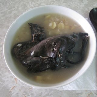 trang trại thịt gà ác nguyên food chuyên cung cấp sĩ thịt gà ác tiềm thuốc bắc trên toàn quốc