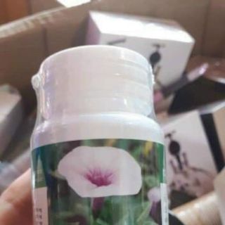 GIẢM CÂN RAU MUỐNG THÁI LAN