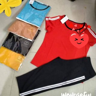 Bộ thun cotton lửng