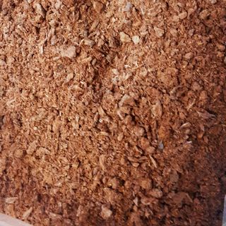 Hạt gáo vàng (hạt cây thiên ngân)