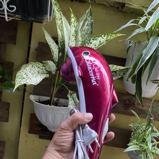 MASSAGE CÁ HEO LỚN GLUCERNA
