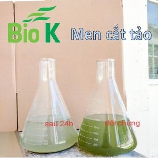 Men vi sinh cắt tảo, gây màu nước
